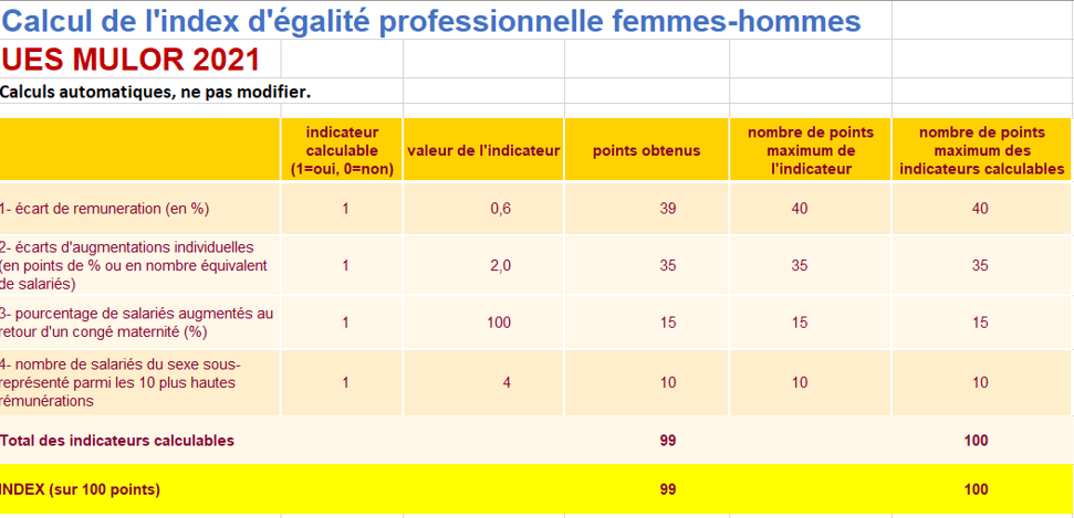 Index égalité Homme Femme