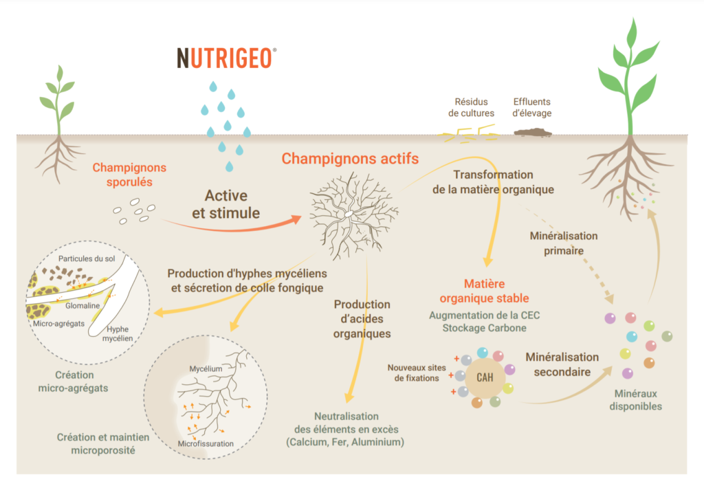 Nutrigeo - Gaïago - Innovation -ferme du futur