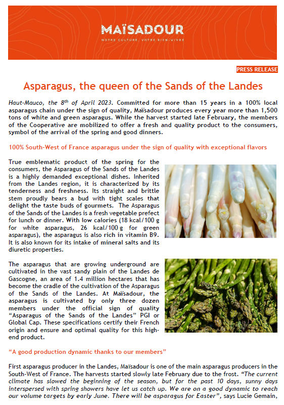 Asparagus, the queen of the Sands of the Landes