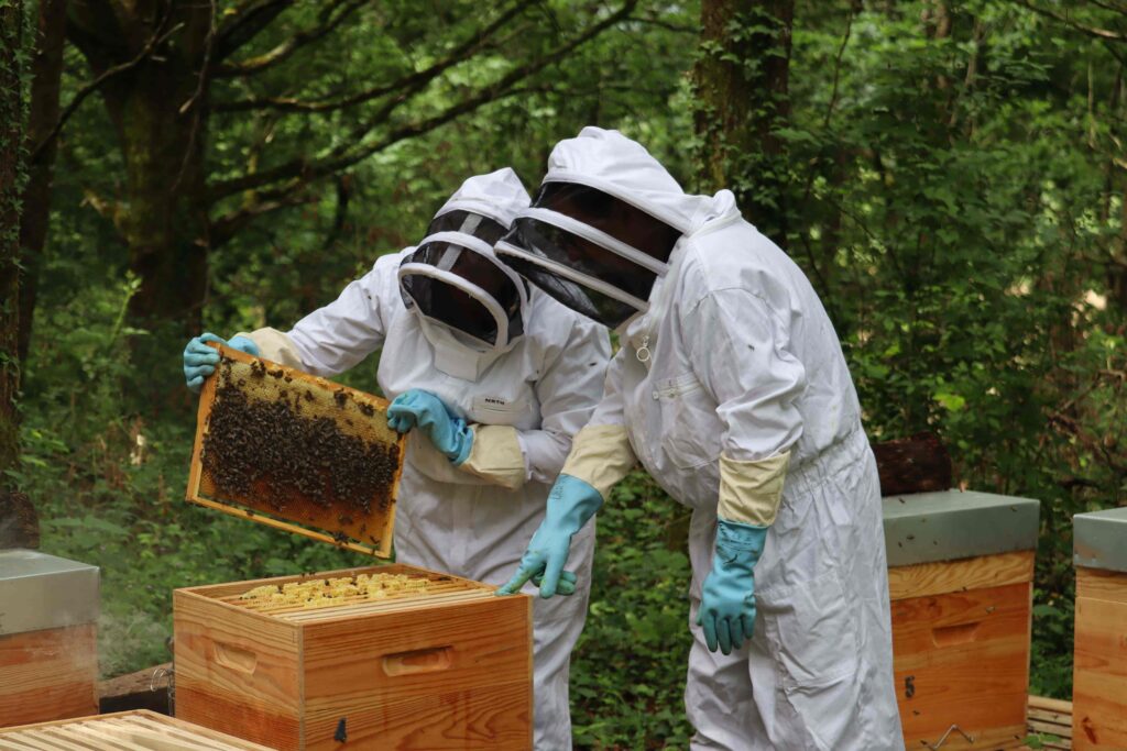 Éric et Nathalie Mousquez en tenue d'apiculteur