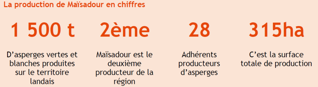 Tableau chiffres de la production d'asperges de Maïsadour