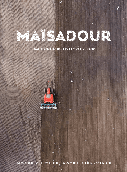 Rapport d&rsquo;activité 2017-2018