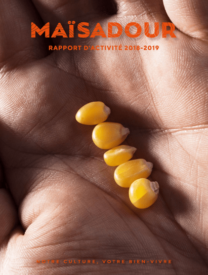 Rapport d&rsquo;activité 2018-2019