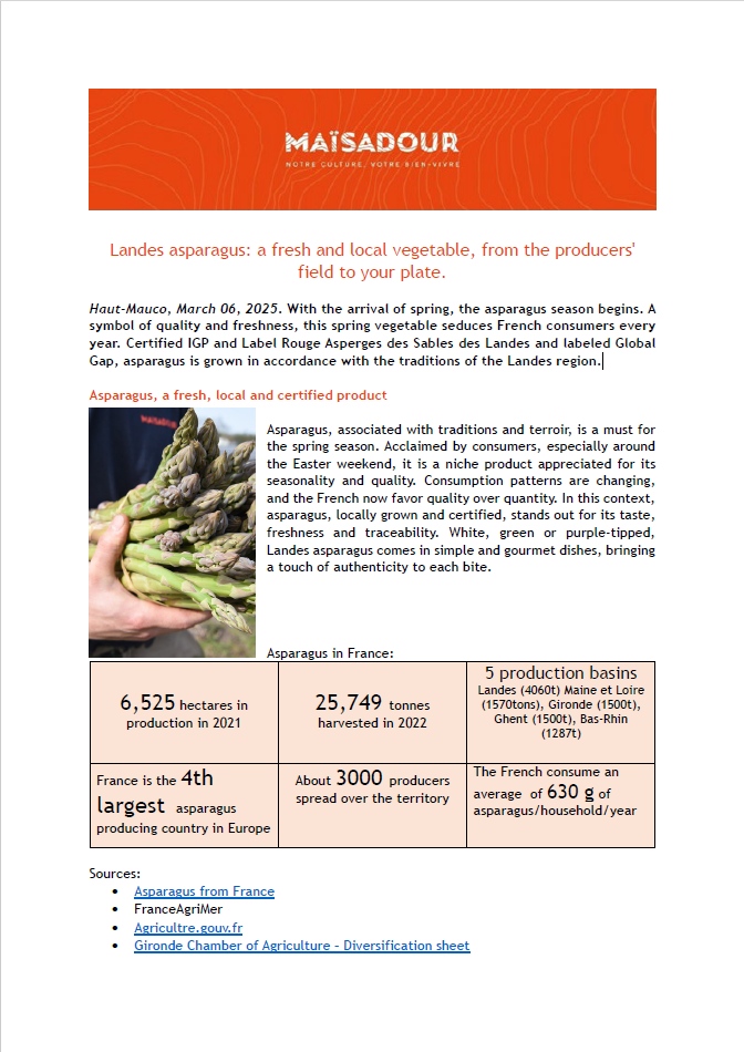 Landes asparagus: a fresh and local vegetable, from the producers’ field to your plate.