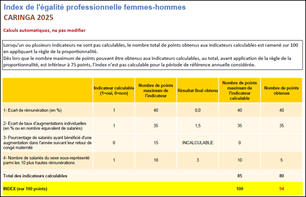 Index de l'égalité professionnel Femmes-Hommes