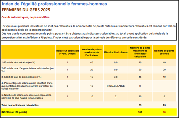 Index de l'égalité professionnel Femmes-Hommes