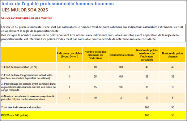 Index de l'égalité professionnel Femmes-Hommes
