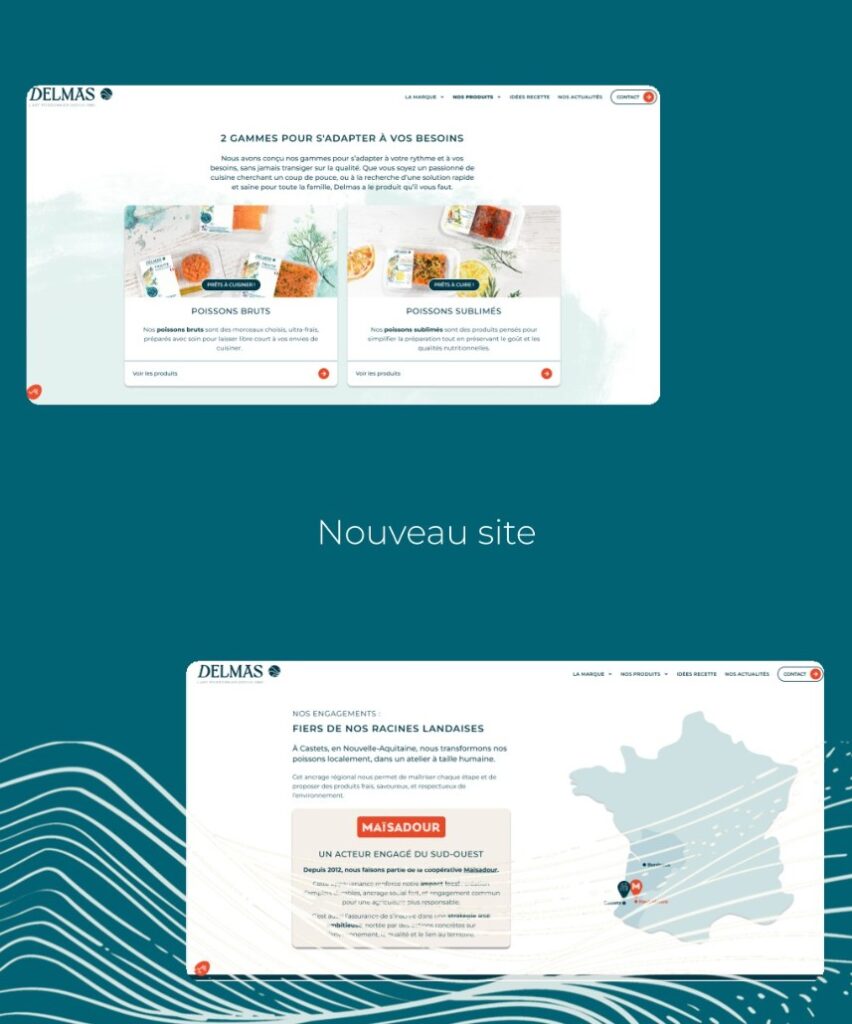 Delmas sort son nouveau site internet