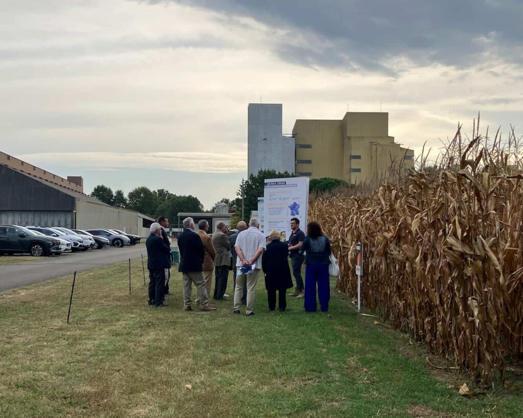 Visite des médaillés de l'ordre du mérite agricole sur la parcelle d'essai de MAS Seeds